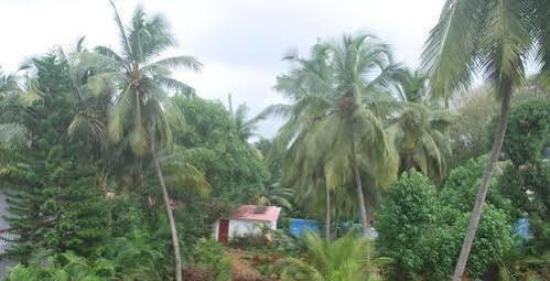 Gabriel Guest House Calangute Exterior foto